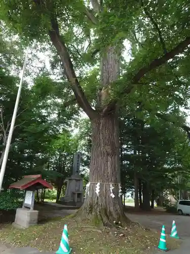 音更神社の自然