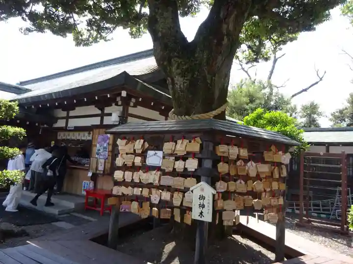 足利織姫神社の絵馬
