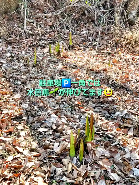 鹿島大神宮(福島県)