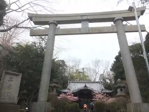 吾妻神社の鳥居