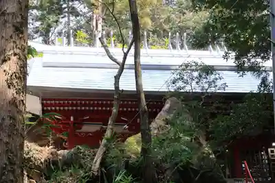日枝神社の本殿・本堂