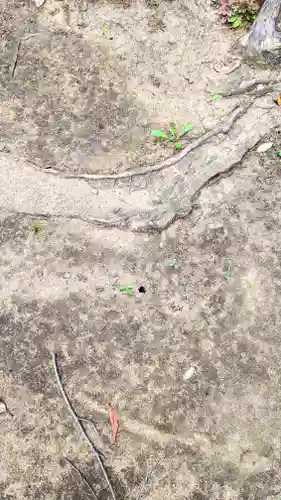 今井神社(千葉県)