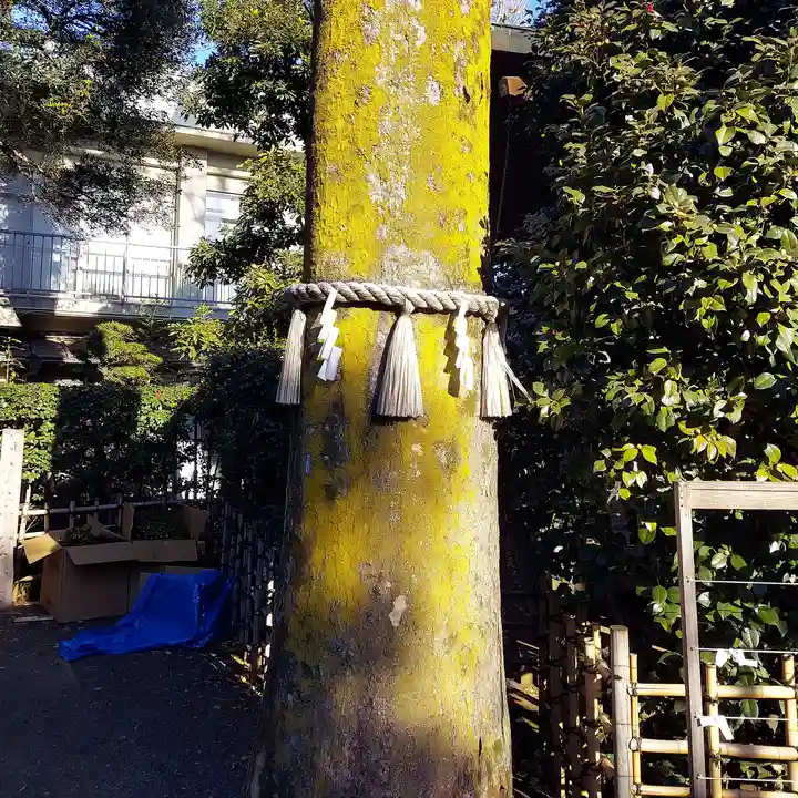 八幡神社の自然