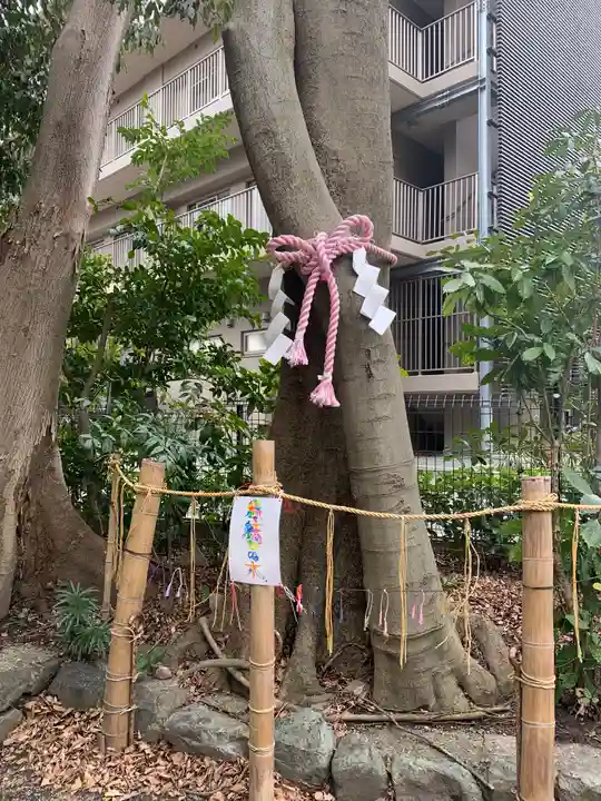 伊和志津神社の自然