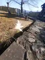 得生寺の{uncategorized: "未分類", other: "その他", undefined: "問題あり", building: "その他建物", grave: "お墓", sacred_gate: "鳥居", guardian: "狛犬", statue: "像", buddha: "仏像", history: "歴史", nature: "自然", garden: "庭園", animal: "動物", pagoda: "塔", temizu: "手水舎", mountain_gate: "山門・神門", sanctuary: "本殿・本堂", subordinate: "末社・摂社", art: "芸術", scenery: "景色", jizo: "地蔵", ema: "絵馬", goshuin: "御朱印", omikuji: "おみくじ", items: "授与品その他", amulet: "お守り", goshuincho: "御朱印帳", eats: "食事", festival: "お祭り", votive_dance: "神楽", shichigosan: "七五三参", wedding: "結婚式", experience: "体験その他", initially: "初詣", around: "周辺", anti_infection: "感染症対策"}