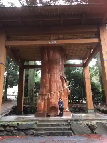 国造神社の自然
