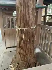 熊野神社(茨城県)