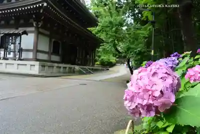円覚寺(神奈川県)