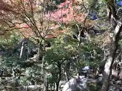 覚園寺の自然