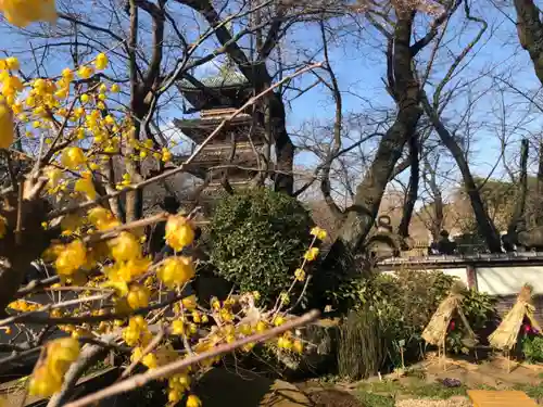 上野東照宮のその他建物