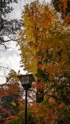 長岡天満宮(京都府)