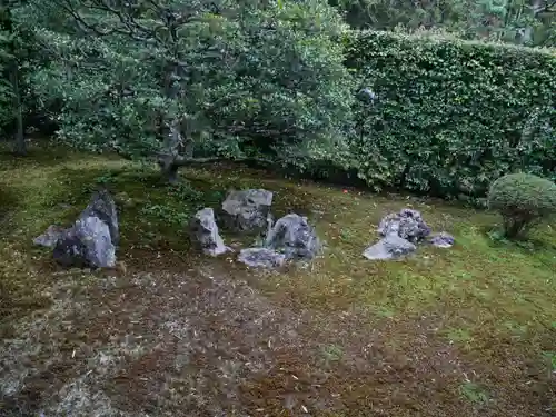 芬陀院の庭園