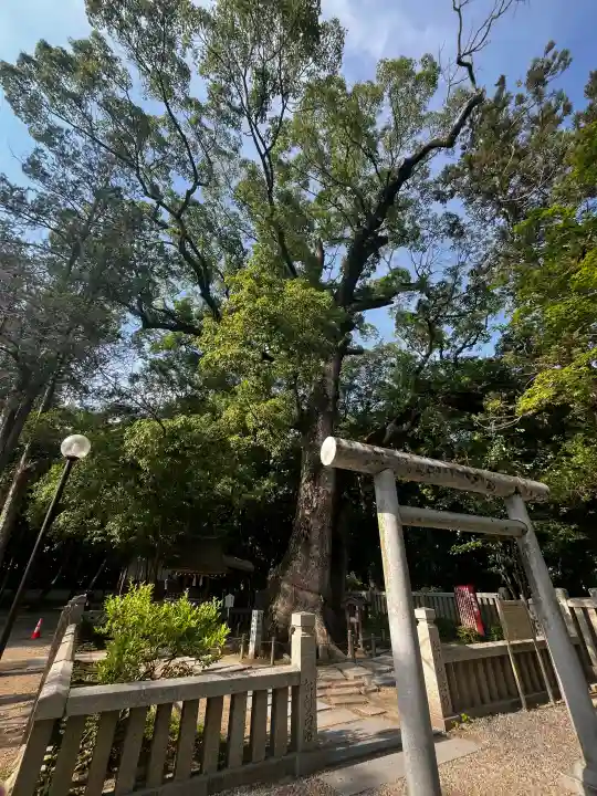 伊弉諾神宮(兵庫県)