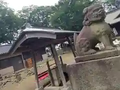 氷川神社の狛犬