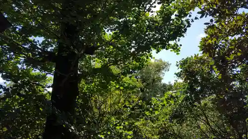 溝旗神社（肇國神社）の自然