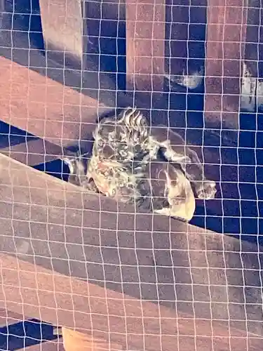 東寺（教王護国寺）(京都府)