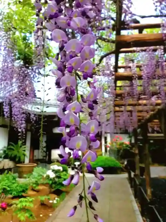 愛染院(東京都)