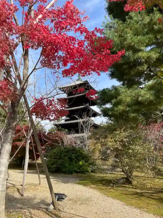 仁和寺(京都府)