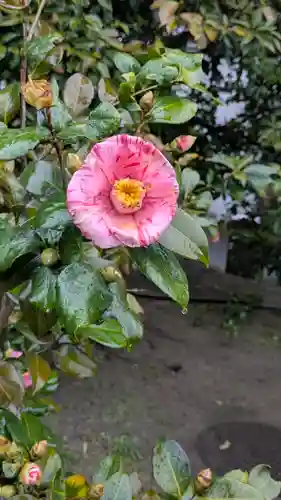 城南宮(京都府)