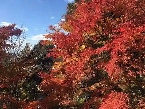 播州清水寺の自然