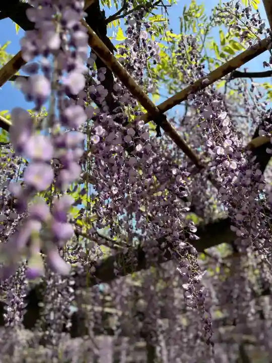 日吉神社(東京都)