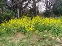 寶珠院(神奈川県)