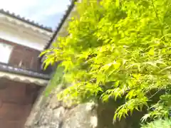 眞田神社(長野県)