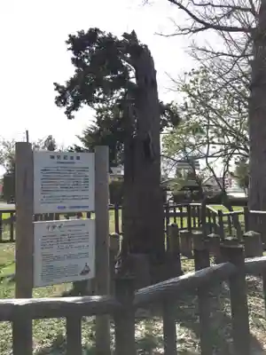 当別神社(北海道)