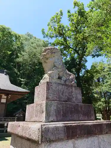 八雲神社の狛犬