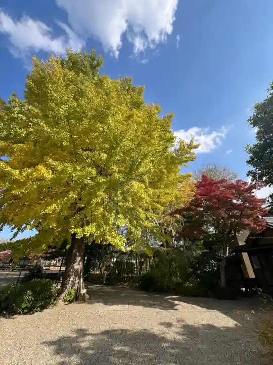 大安寺(奈良県)