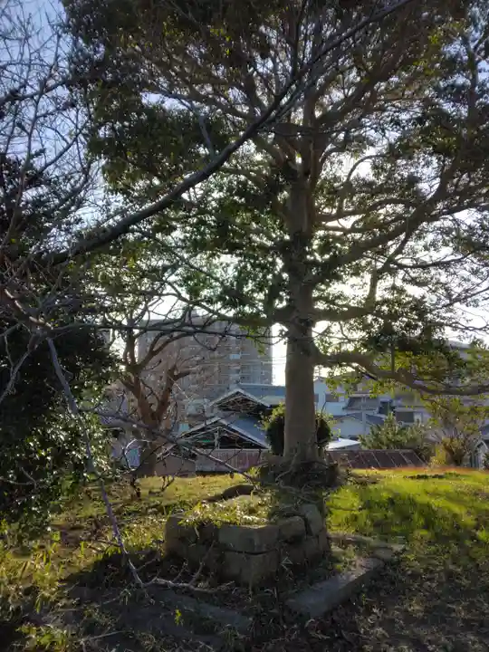 住吉神社(兵庫県)