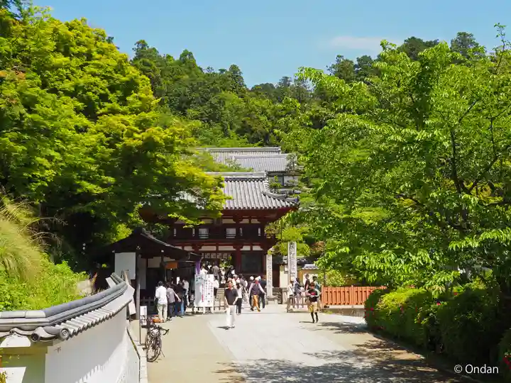 岡寺(龍蓋寺)(奈良県)