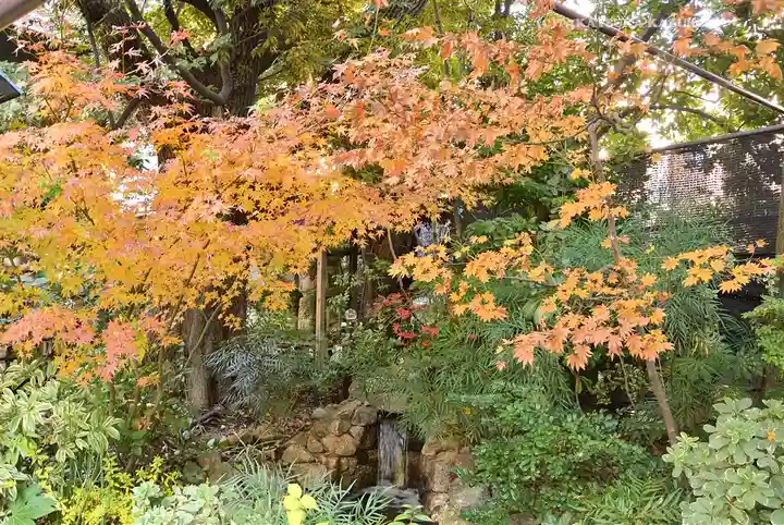 東京大神宮(東京都)