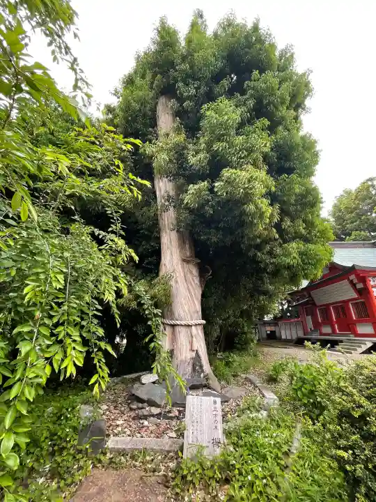 鹿嶋神社の{uncategorized: "未分類", other: "その他", undefined: "問題あり", building: "その他建物", grave: "お墓", sacred_gate: "鳥居", guardian: "狛犬", statue: "像", buddha: "仏像", history: "歴史", nature: "自然", garden: "庭園", animal: "動物", pagoda: "塔", temizu: "手水舎", mountain_gate: "山門・神門", sanctuary: "本殿・本堂", subordinate: "末社・摂社", art: "芸術", scenery: "景色", jizo: "地蔵", ema: "絵馬", goshuin: "御朱印", omikuji: "おみくじ", items: "授与品その他", amulet: "お守り", goshuincho: "御朱印帳", eats: "食事", festival: "お祭り", votive_dance: "神楽", shichigosan: "七五三参", wedding: "結婚式", experience: "体験その他", initially: "初詣", around: "周辺", anti_infection: "感染症対策"}