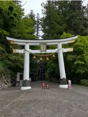 宝登山神社(埼玉県)
