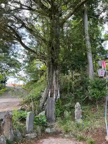 鹿島神社(福島県)