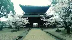 大樹寺（松安院大樹寺）(愛知県)