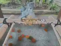 居木神社の手水舎