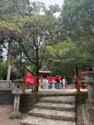 春日大社金龍神社（禁裡殿）の{uncategorized: "未分類", other: "その他", undefined: "問題あり", building: "その他建物", grave: "お墓", sacred_gate: "鳥居", guardian: "狛犬", statue: "像", buddha: "仏像", history: "歴史", nature: "自然", garden: "庭園", animal: "動物", pagoda: "塔", temizu: "手水舎", mountain_gate: "山門・神門", sanctuary: "本殿・本堂", subordinate: "末社・摂社", art: "芸術", scenery: "景色", jizo: "地蔵", ema: "絵馬", goshuin: "御朱印", omikuji: "おみくじ", items: "授与品その他", amulet: "お守り", goshuincho: "御朱印帳", eats: "食事", festival: "お祭り", votive_dance: "神楽", shichigosan: "七五三参", wedding: "結婚式", experience: "体験その他", initially: "初詣", around: "周辺", anti_infection: "感染症対策"}