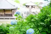 浄土寺(兵庫県)