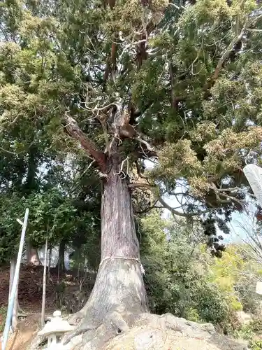 油日神社(滋賀県)