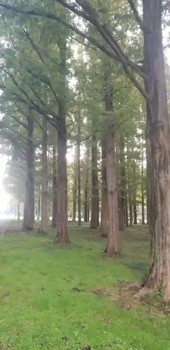 日枝神社の自然