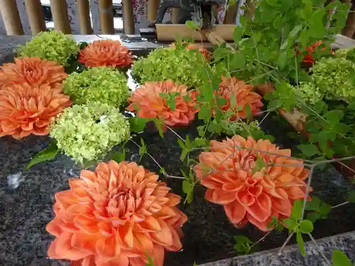 高円寺氷川神社の手水舎
