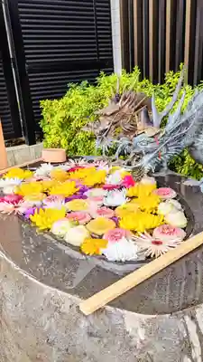 駒込妙義神社の手水舎