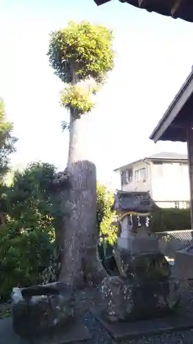 金山神社の自然