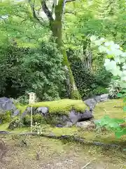 宝厳院の庭園