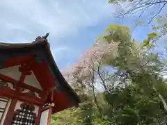 玉村八幡宮の建物その他