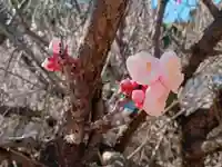 大分縣護國神社(大分県)