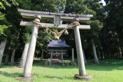 田子神社の鳥居