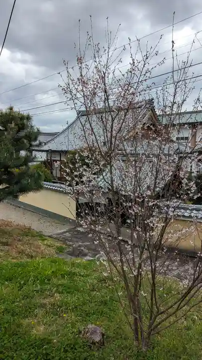 くろ谷 金戒光明寺(京都府)